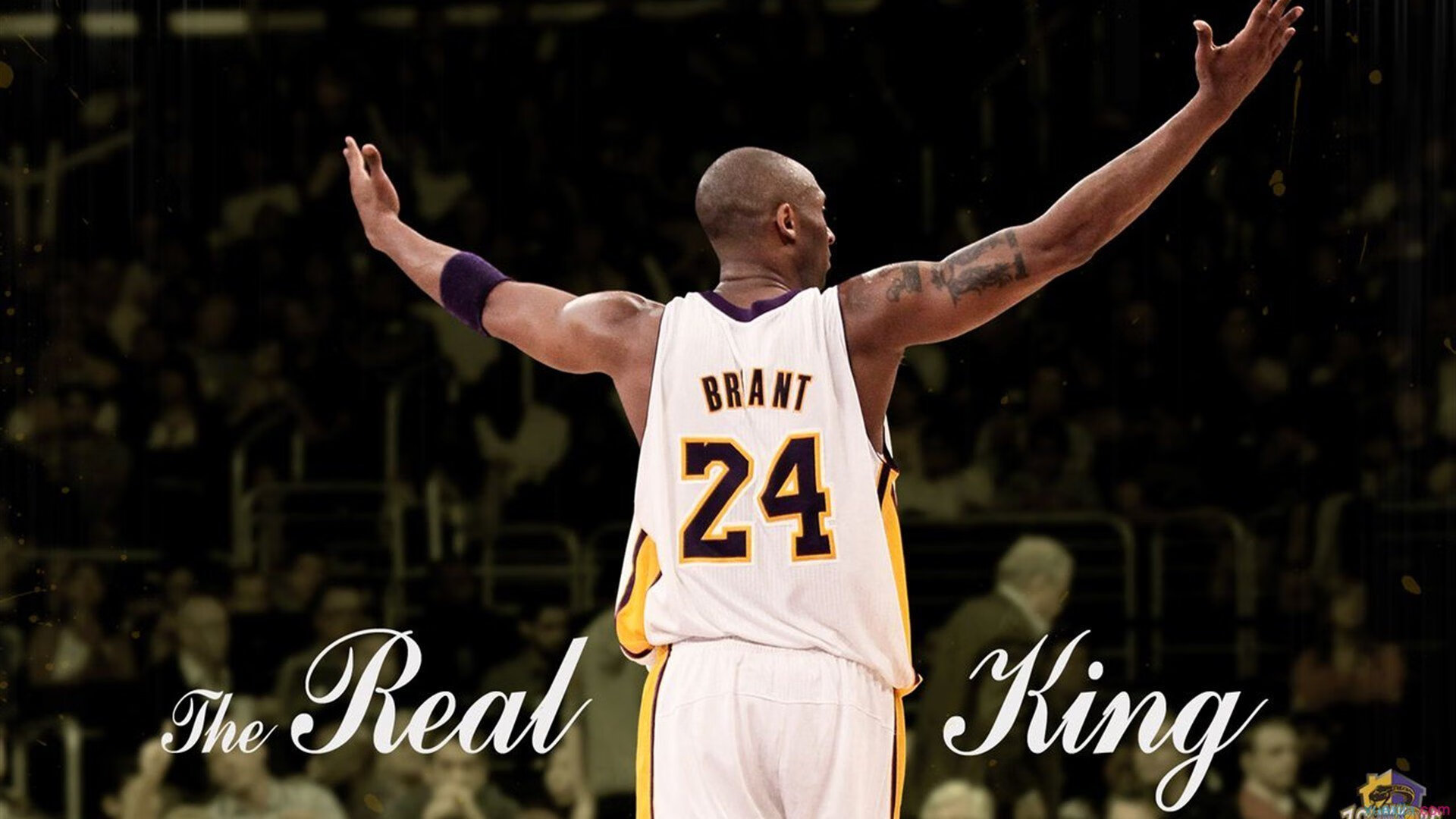 刷新纪录引爆全场!,莎拉波娃意外战胜曼联上演精彩一战