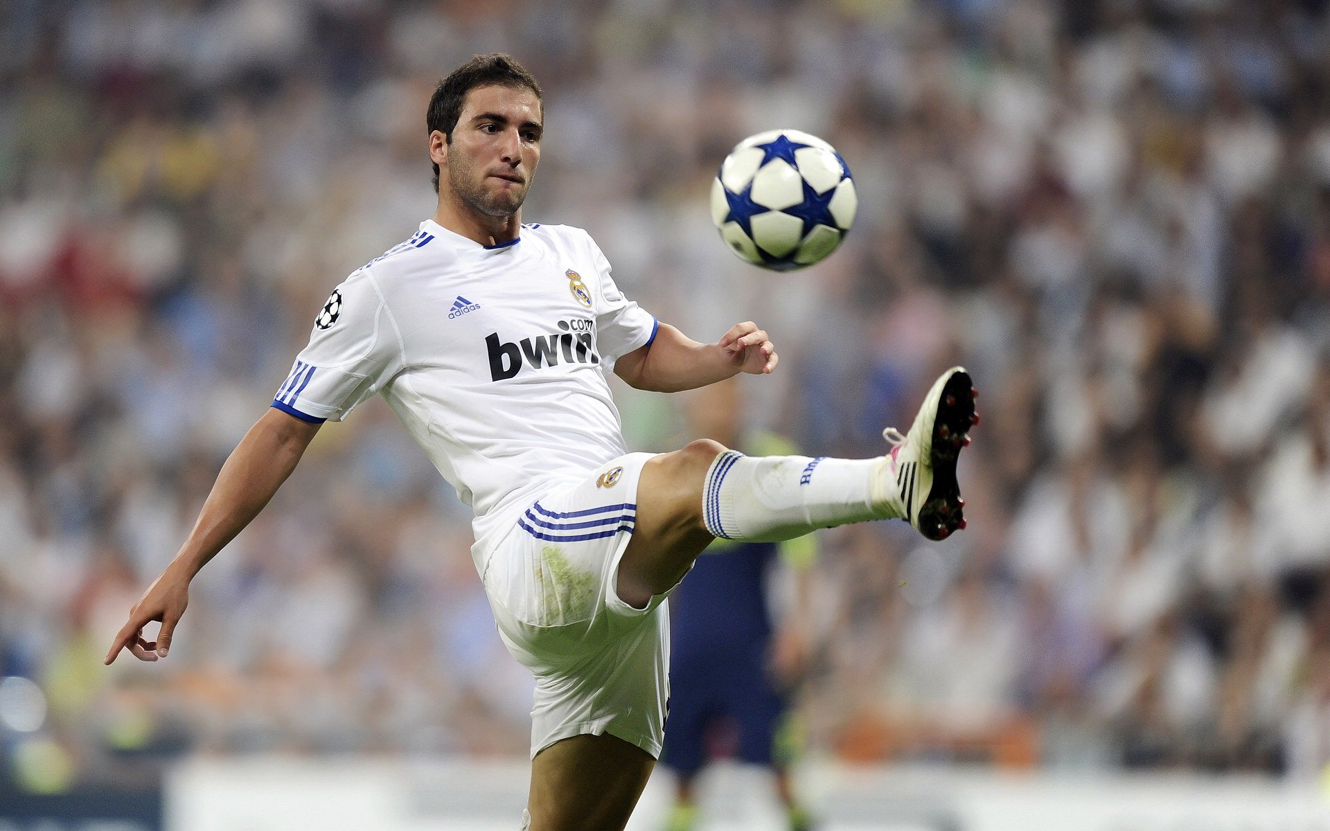 Ning回归赛场，败北首场状态亮眼，日本队观众沸腾！